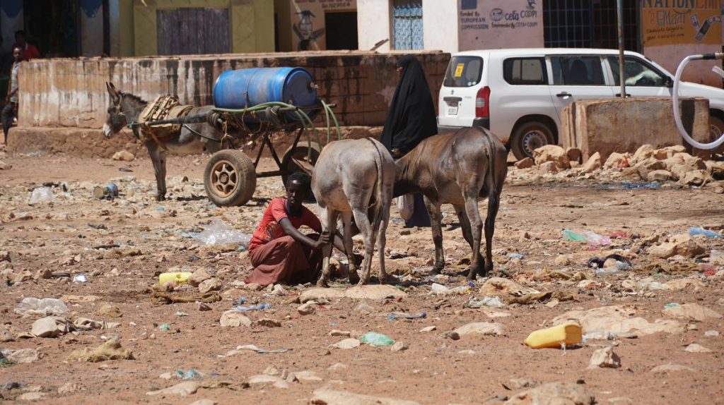 Somalia, paese